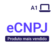 Certificado digital e-CNPJ - no computador - 12 meses